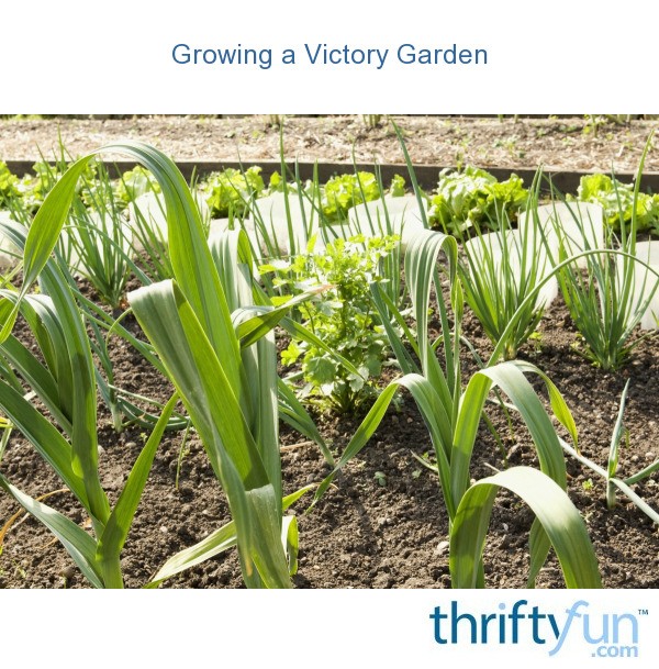 Growing A Victory Garden Thriftyfun