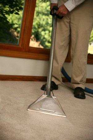 Carpet Cleaner