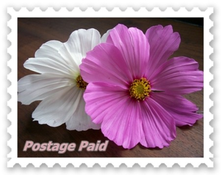 Photo printed with cancellation stamp and text.