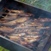 Fish Smoker