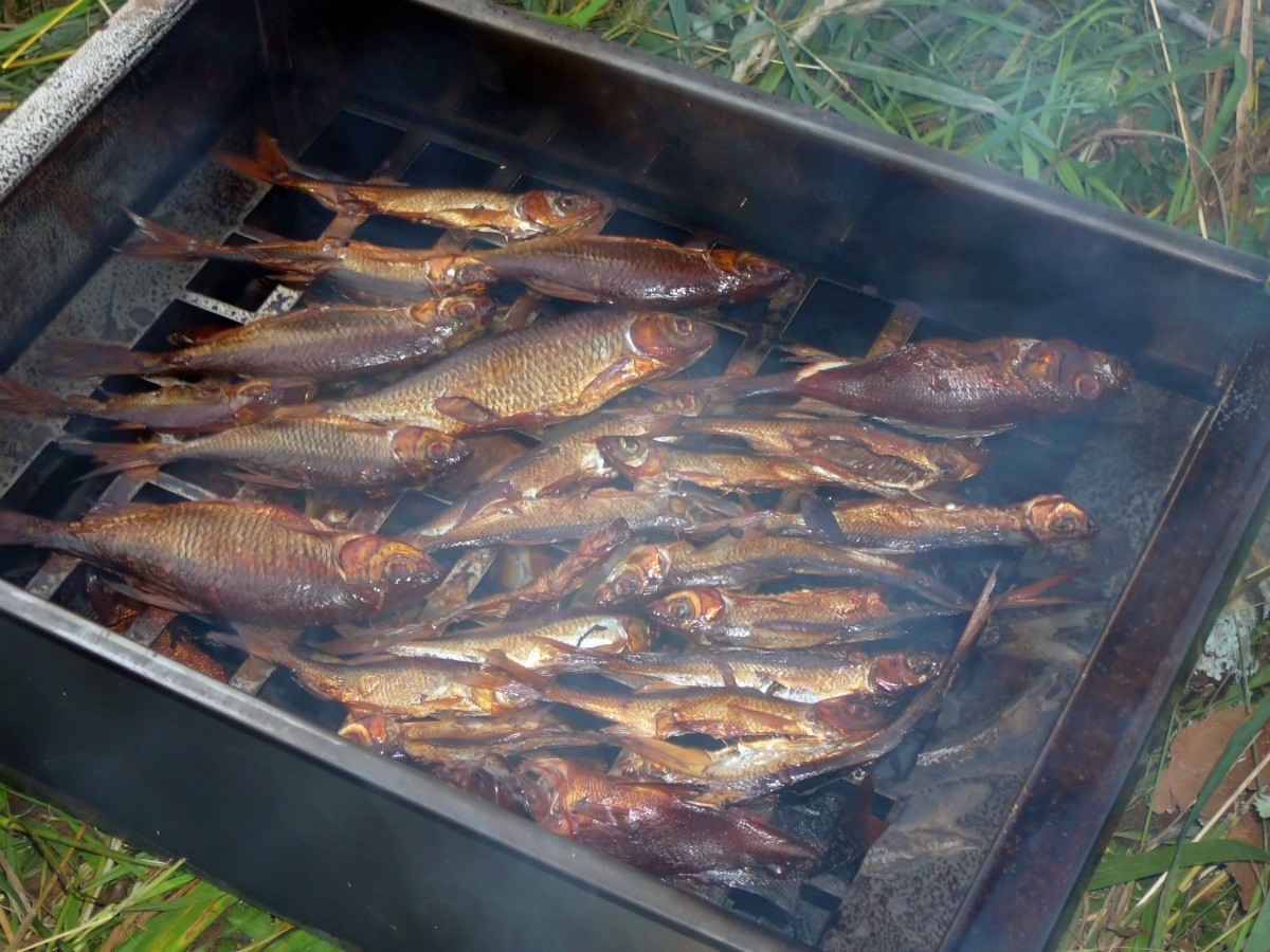 Cleaning a Smoker? ThriftyFun