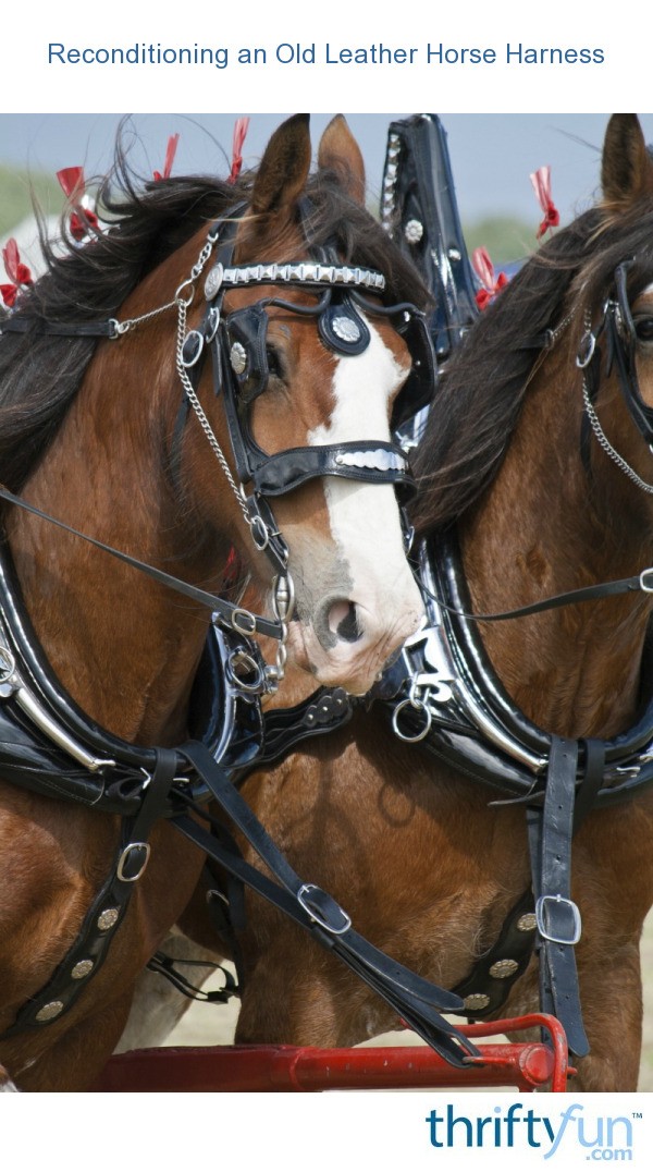 Reconditioning an Old Leather Horse Harness ThriftyFun