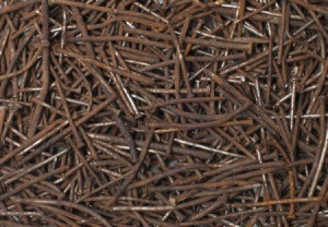 Photo of rusty nails.
