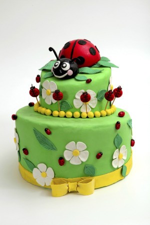 Ladybug Themed Party