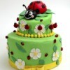 Ladybug Themed Party
