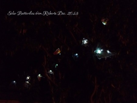 The Path Garden (Spring 2013)