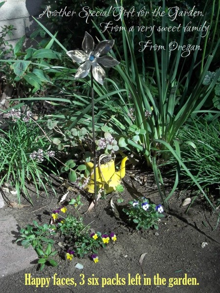 The Path Garden (Spring 2013)