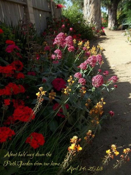 The Path Garden (Spring 2013)
