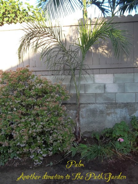 The Path Garden (Spring 2013)