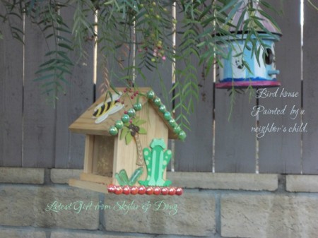 The Path Garden (Spring 2013)