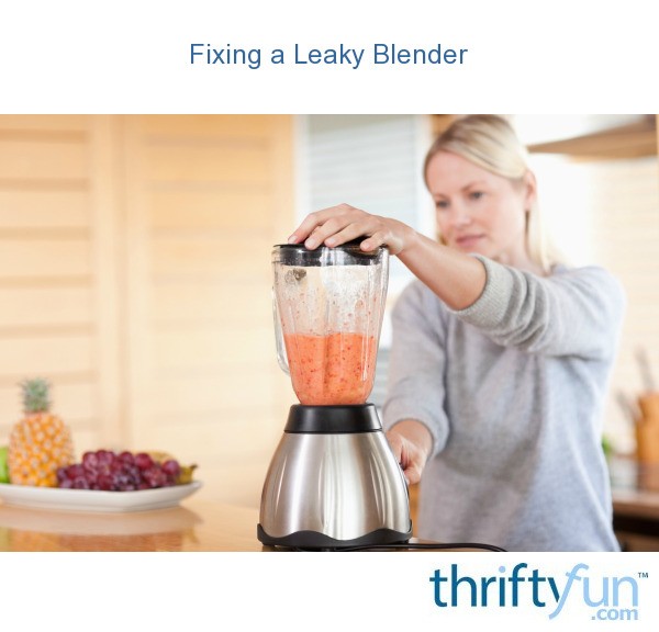 Fixing a Leaky Blender ThriftyFun