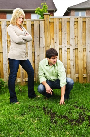 Couple Looking at Bare Spots in Lawn