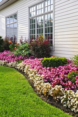 Beautiful Flower Beds