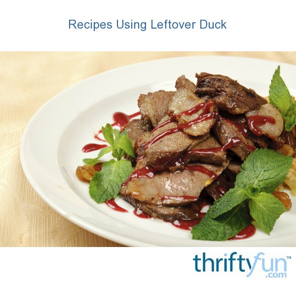 Recipes Using Leftover Duck? | ThriftyFun