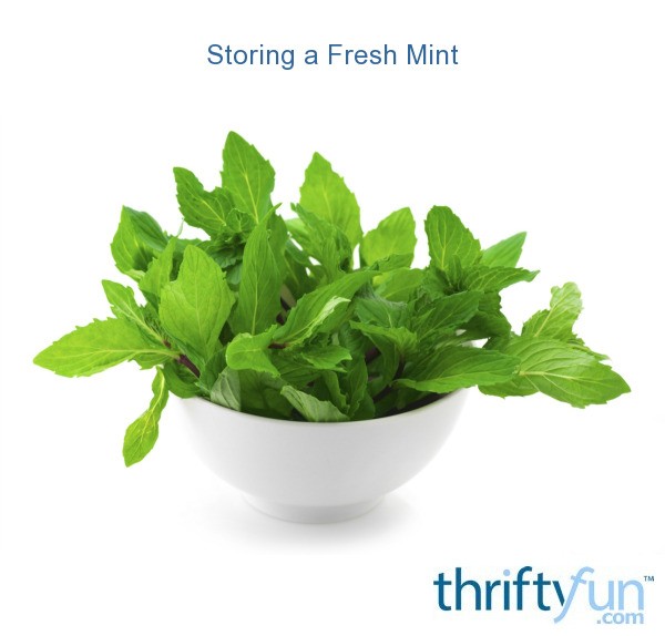 Storing Fresh Mint ThriftyFun