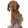 Basic Dog Training With Clicker