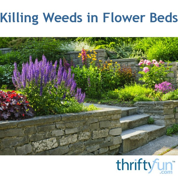 Killing Weeds in Flower Beds | ThriftyFun