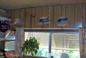 A row of hats displayed over a window.