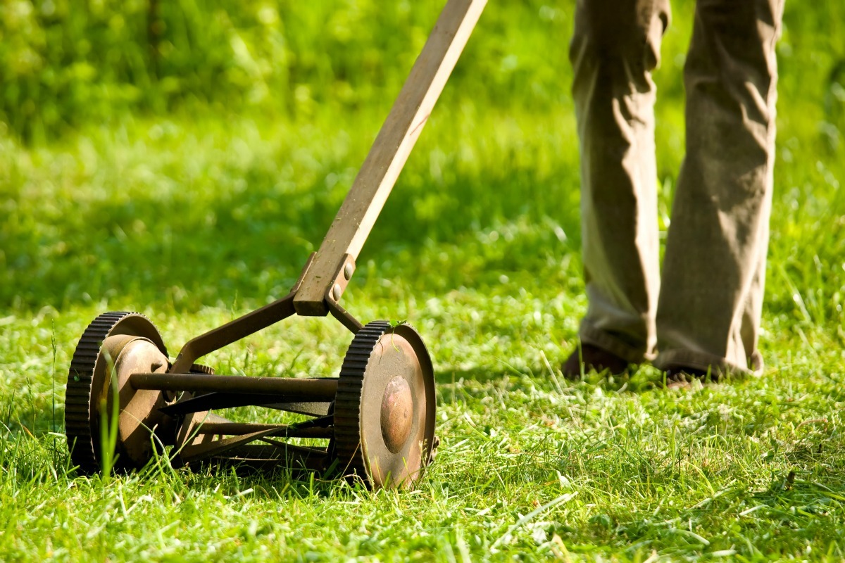 Blades and wooden roller of an SA Special push lawn mower