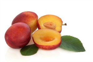 Victoria Plums