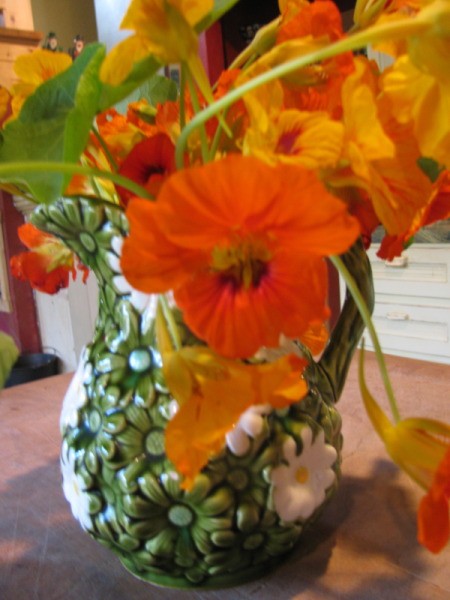 Vase of nasturtiums.