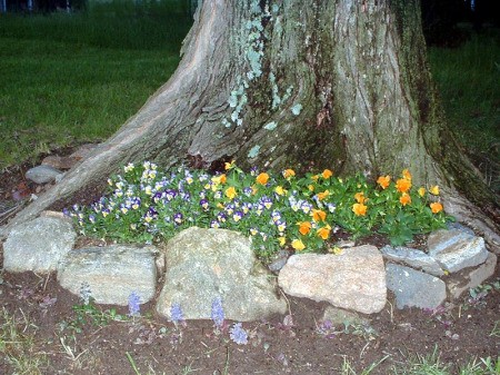 Low Cost Flower Bed