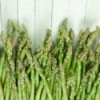 Asparagus Harvest