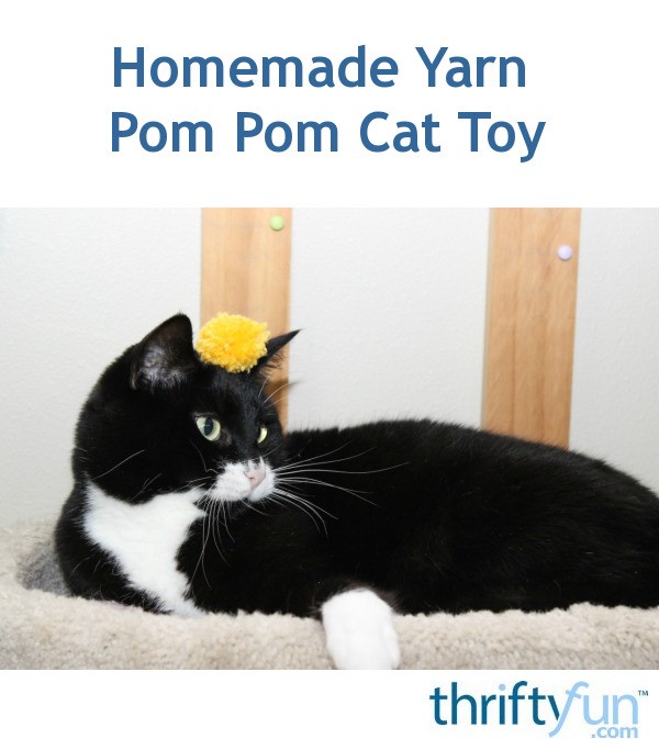 cat toy pom pom