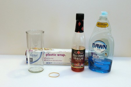 fruit fly trap supplies