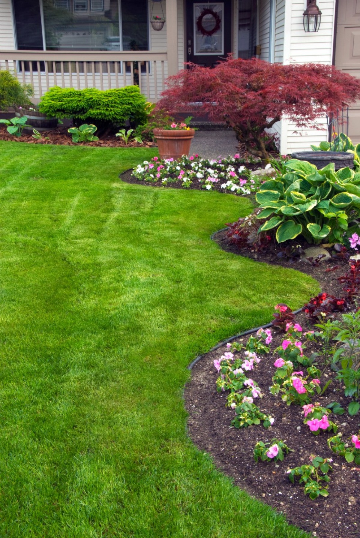 Getting Rid Of Onion Grass ThriftyFun