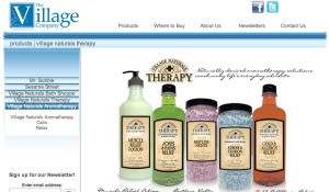 Screen shot of Village Naturals Therapy website.