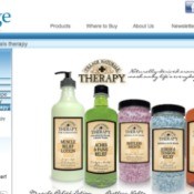 Screen shot of Village Naturals Therapy website.