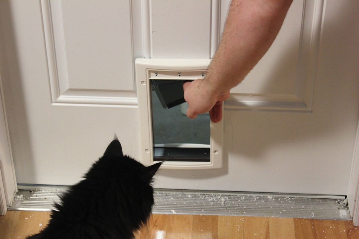 Installing A Cat Door Thriftyfun, Can You Put A Cat Door In Garage