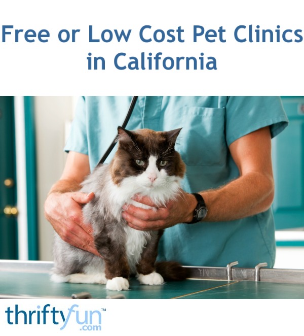 Finding Free or Low Cost Pet Clinics in California ThriftyFun