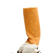 A finished cigarette.