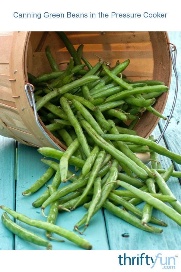 Canning Green Beans in the Pressure Cooker ThriftyFun