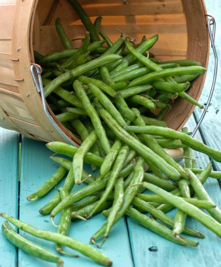 fresh green beans