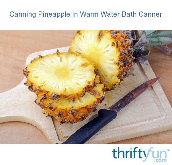 Canning Pineapple in Warm Water Bath Canner ThriftyFun