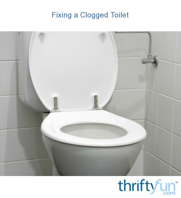 Toilet Keeps Clogging ThriftyFun