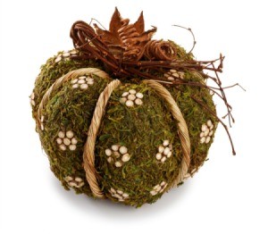 moss ball craft