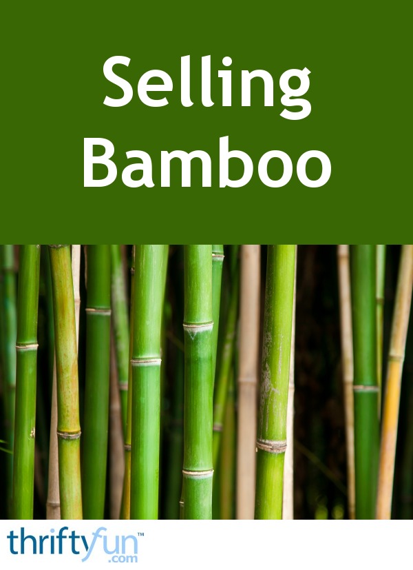 Selling Bamboo ThriftyFun