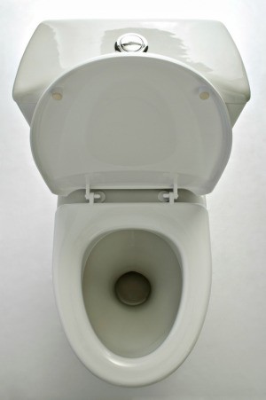 Fixing A Loose Toilet Seat Thriftyfun - How To Mend A Wobbly Toilet Seat