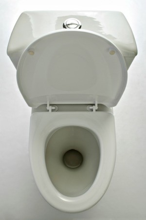 Loose Toilet Seat