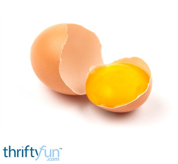 NonFood Uses for Egg Yolks ThriftyFun
