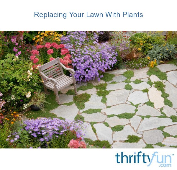 Replacing Your Lawn With Plants? ThriftyFun