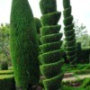 Topiary Landscaping