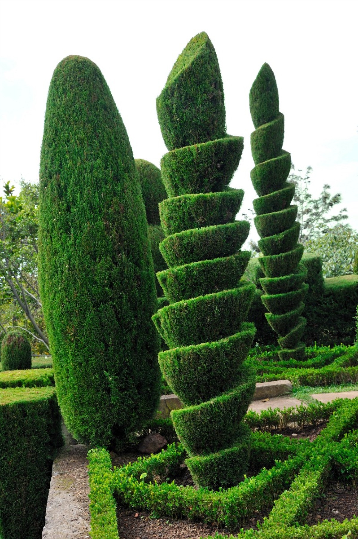 Topiary Garden Designs - Image to u