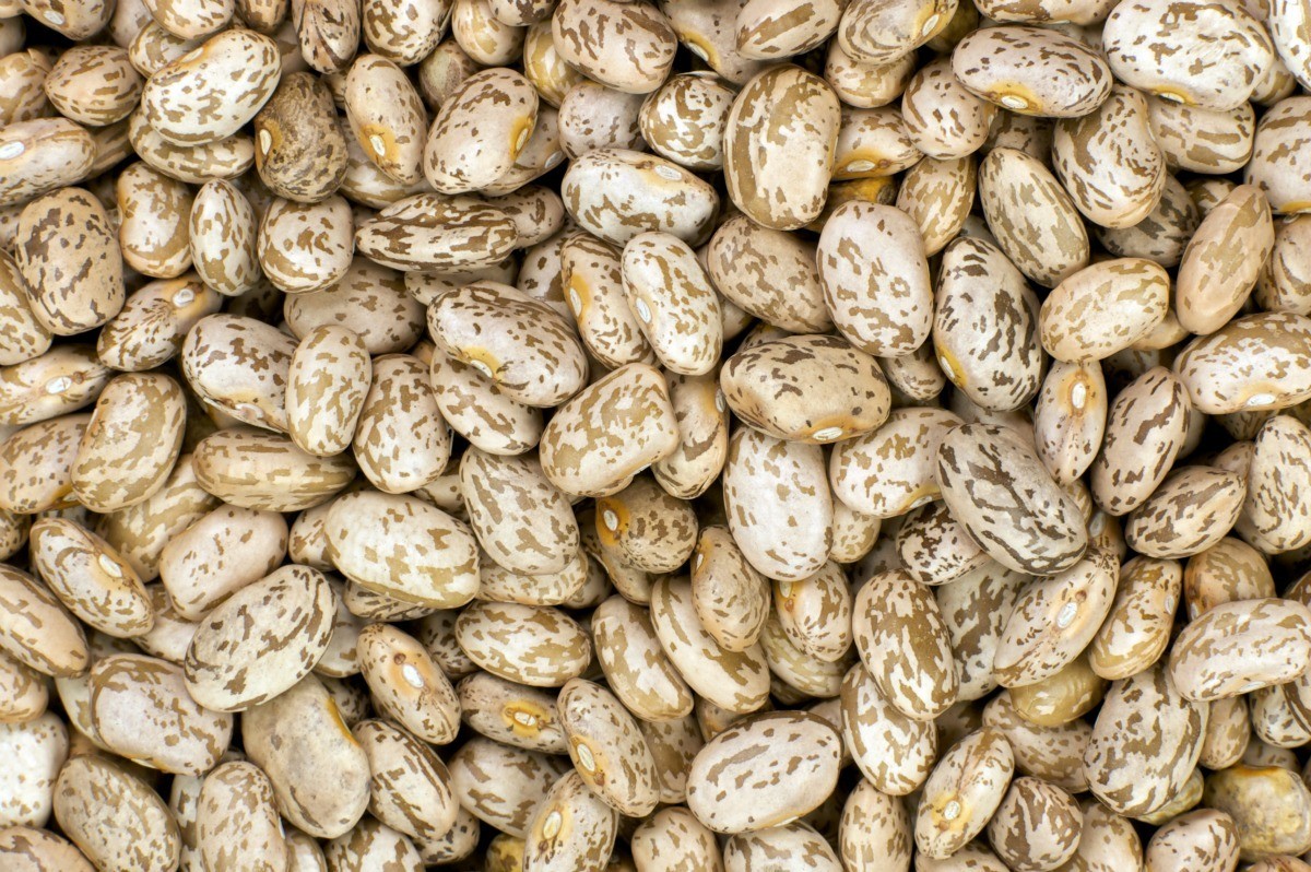 Cooking Dried Beans in a Slow Cooker ThriftyFun