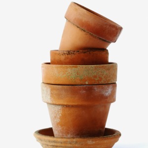 Terra Cotta Pots