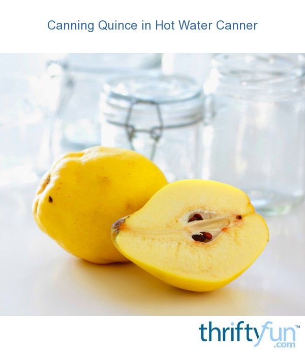 Canning Quince in Hot Water Canner ThriftyFun